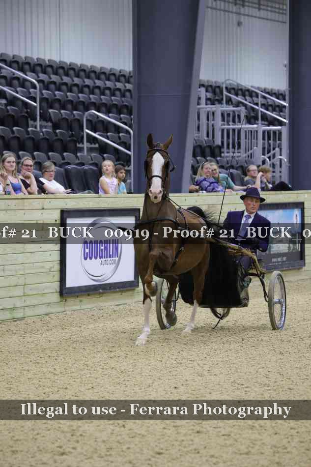 Proof 21_BUCK_00919