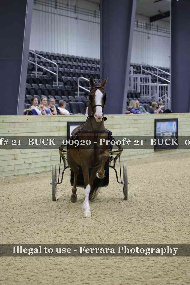 Proof 21_BUCK_00920
