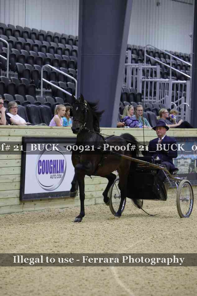 Proof 21_BUCK_00921