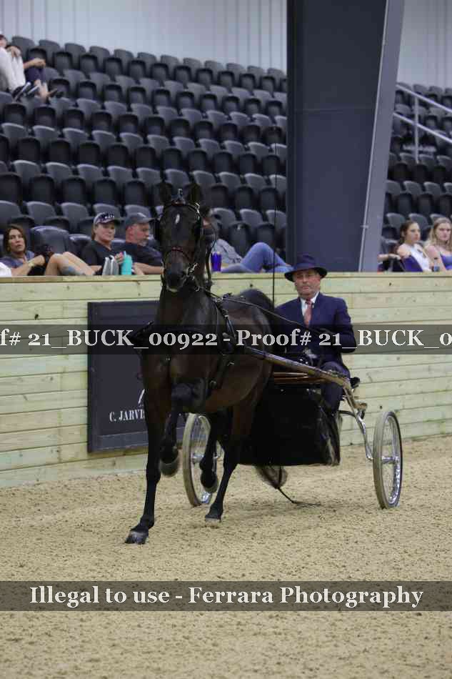 Proof 21_BUCK_00922