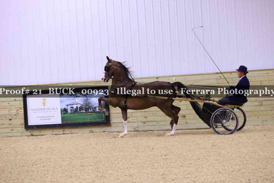Proof 21_BUCK_00923
