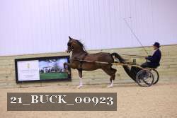 21_BUCK_00923 proof