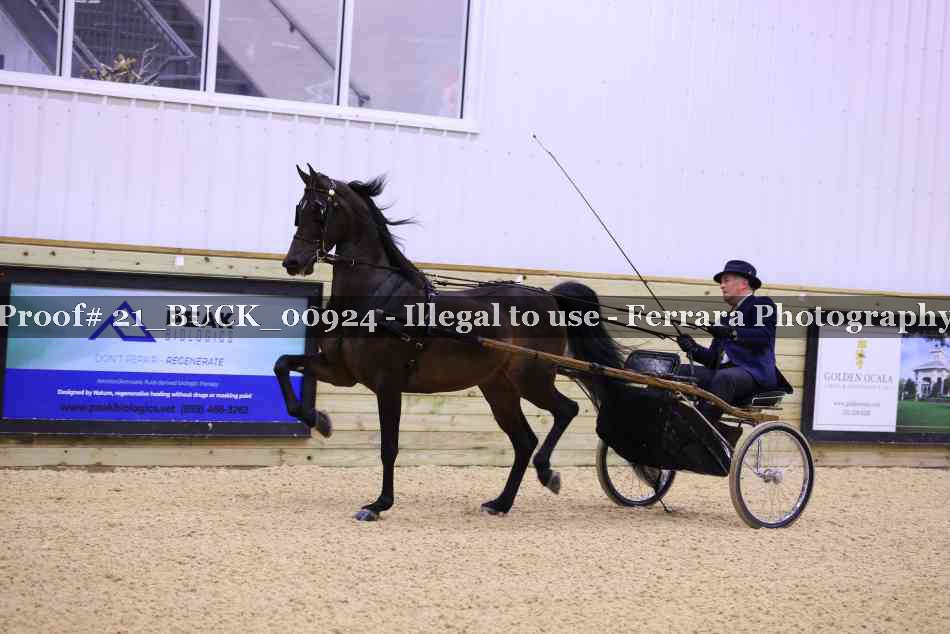 Proof 21_BUCK_00924