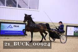 21_BUCK_00924 proof