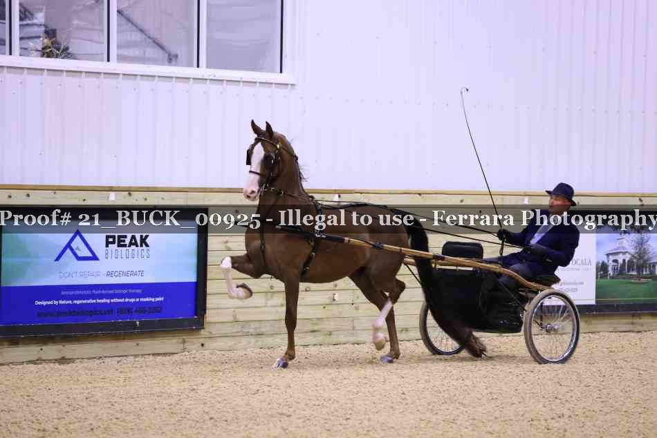 Proof 21_BUCK_00925