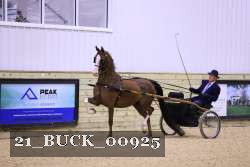 21_BUCK_00925 proof