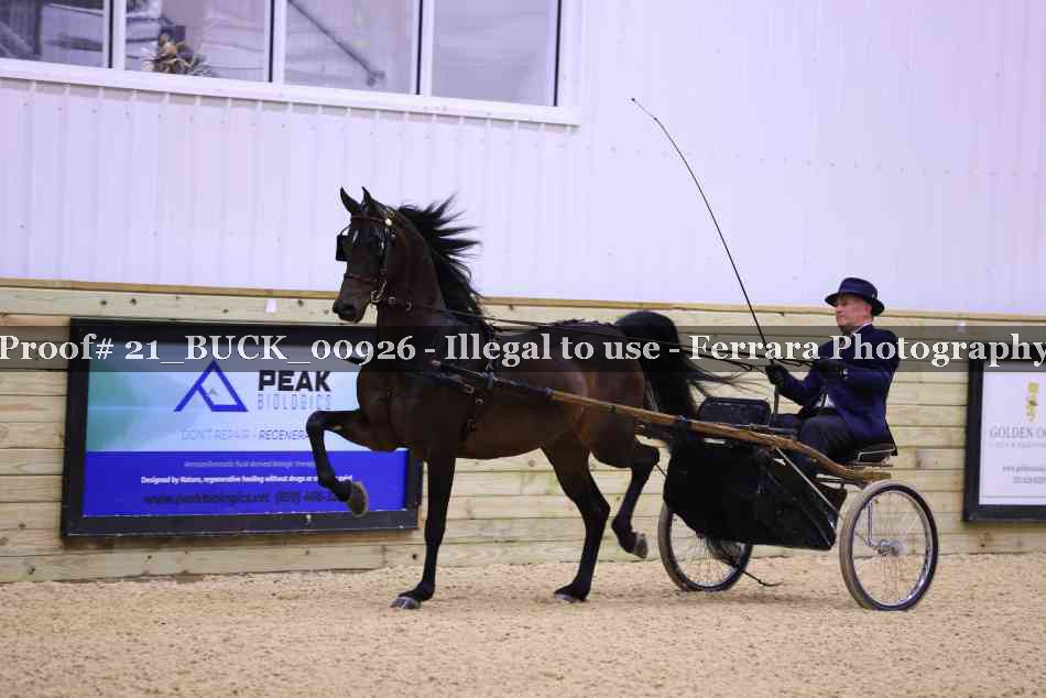 Proof 21_BUCK_00926