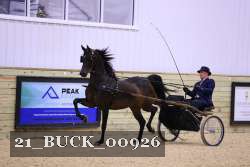 21_BUCK_00926 proof