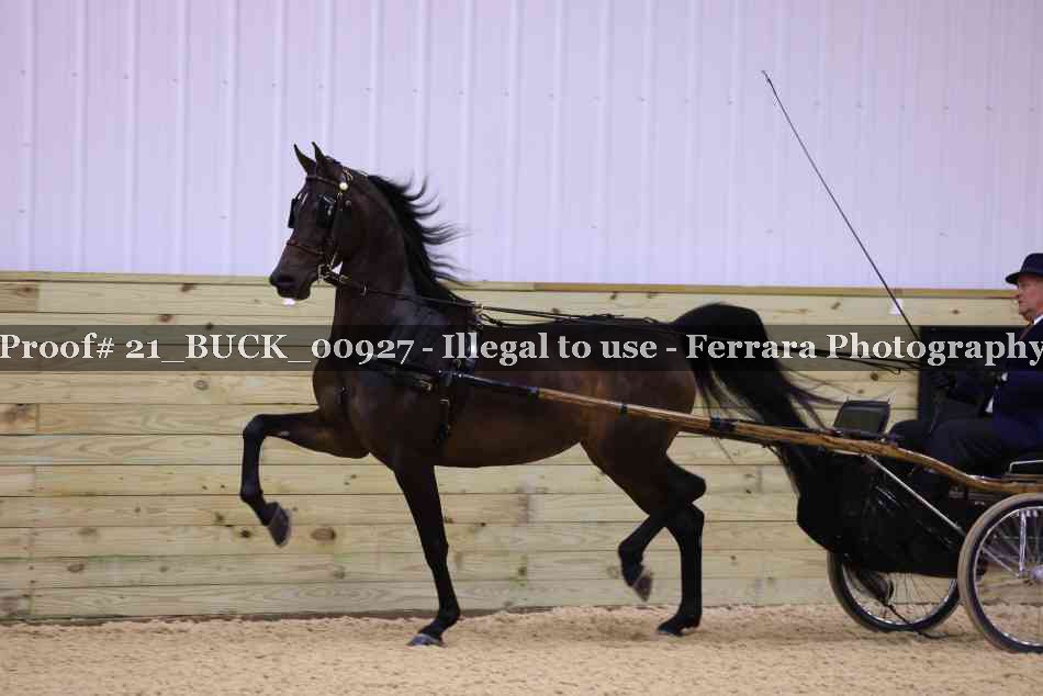 Proof 21_BUCK_00927