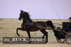 21_BUCK_00927 proof