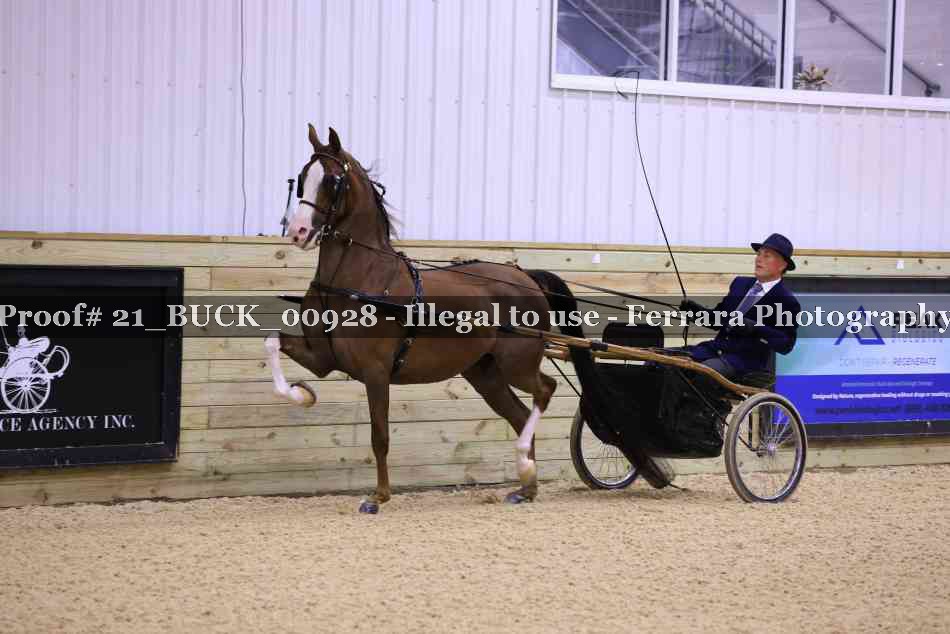 Proof 21_BUCK_00928