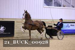 21_BUCK_00928 proof