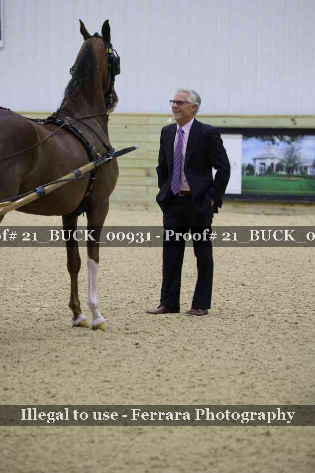 Proof 21_BUCK_00931