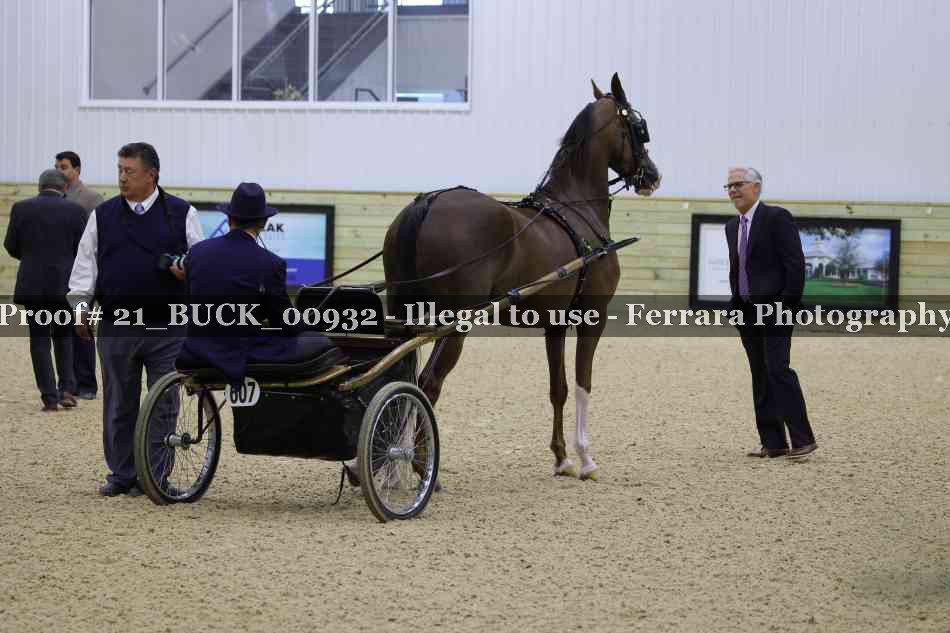 Proof 21_BUCK_00932