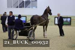 21_BUCK_00932 proof