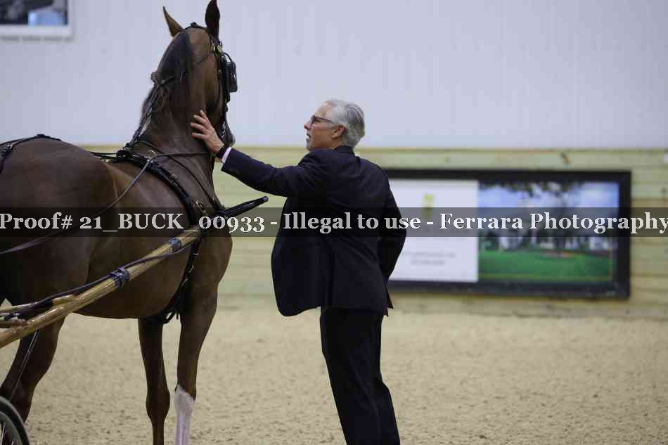 Proof 21_BUCK_00933