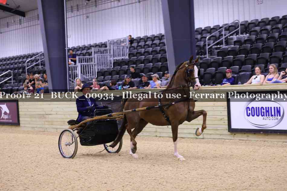 Proof 21_BUCK_00934