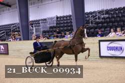 21_BUCK_00934 proof