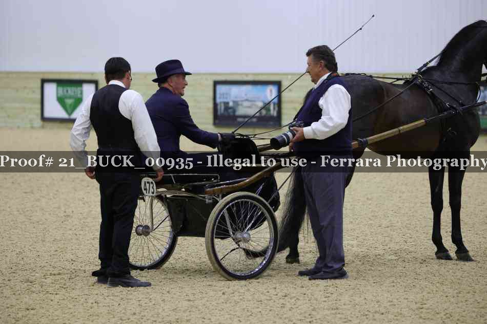 Proof 21_BUCK_00935