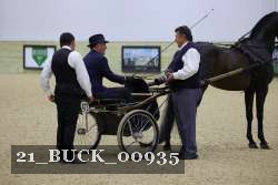 21_BUCK_00935 proof