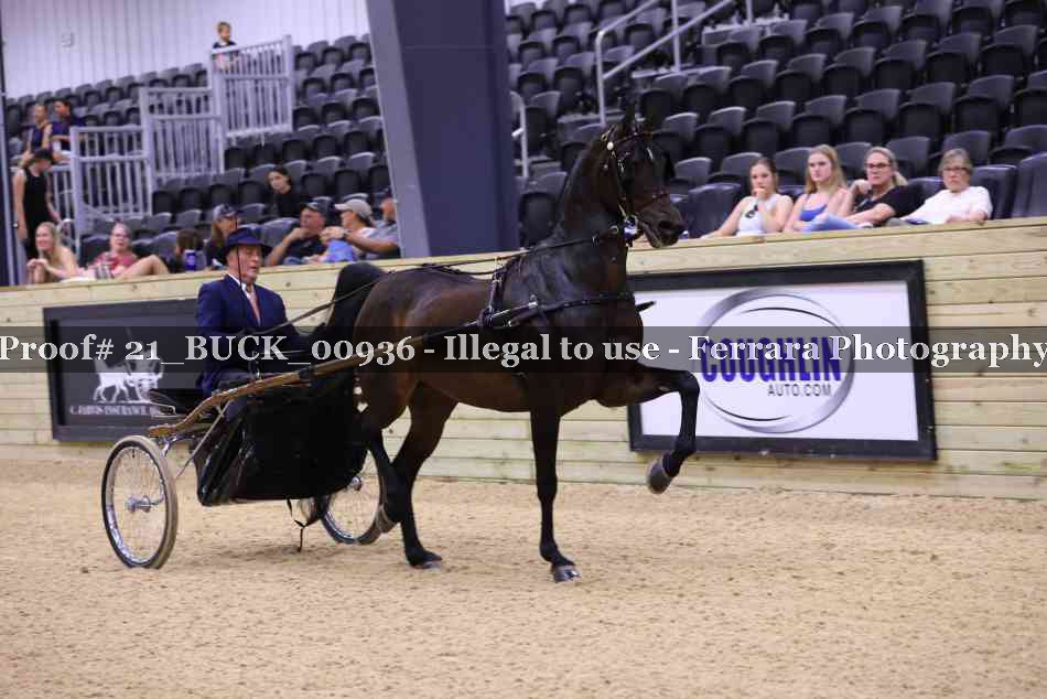 Proof 21_BUCK_00936