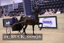 21_BUCK_00936 proof