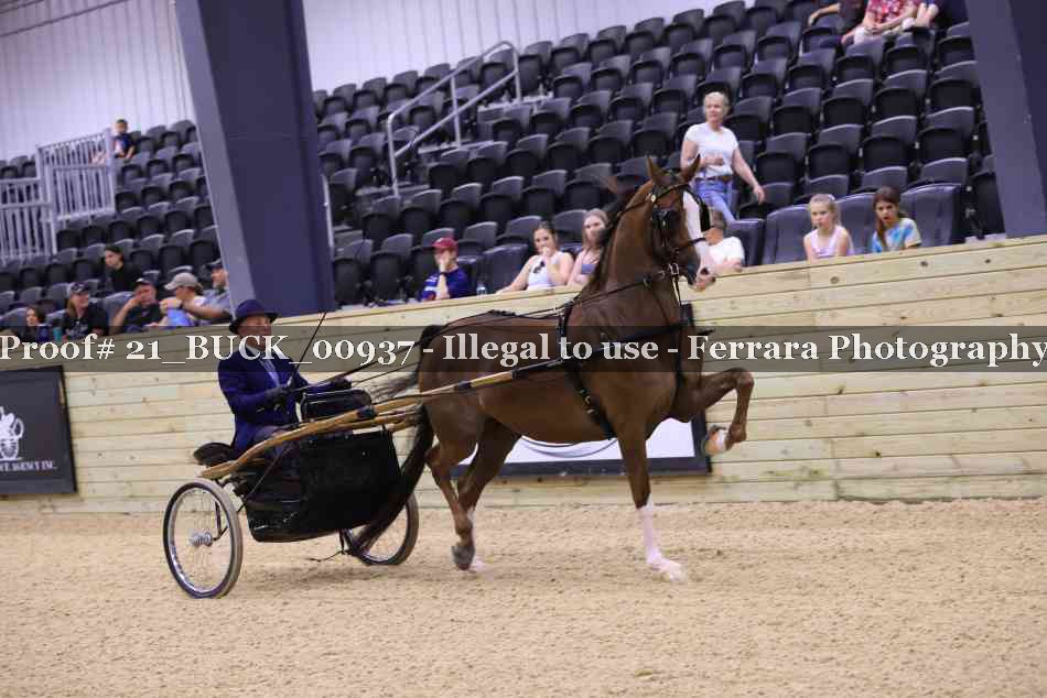 Proof 21_BUCK_00937
