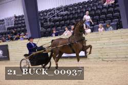 21_BUCK_00937 proof