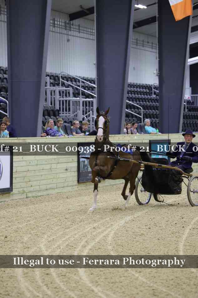 Proof 21_BUCK_00938