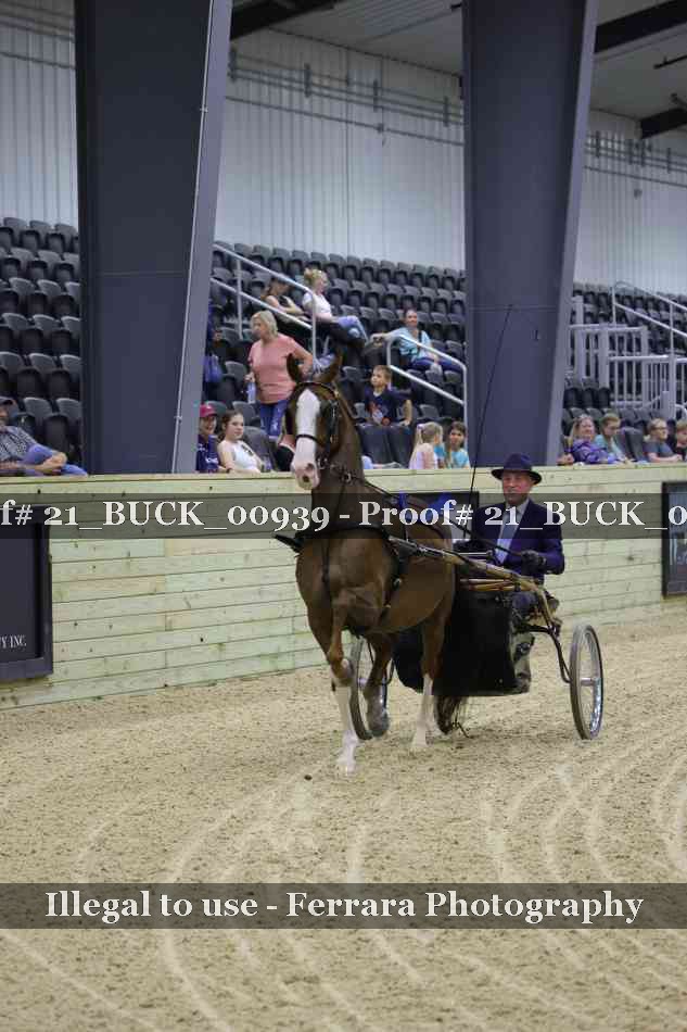 Proof 21_BUCK_00939