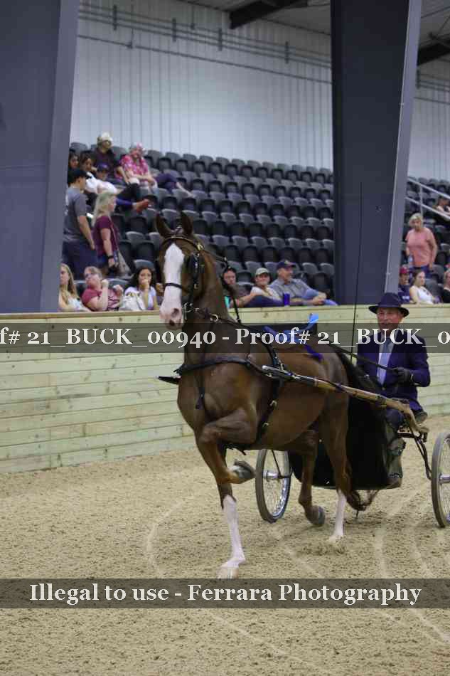 Proof 21_BUCK_00940