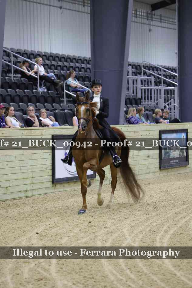 Proof 21_BUCK_00942