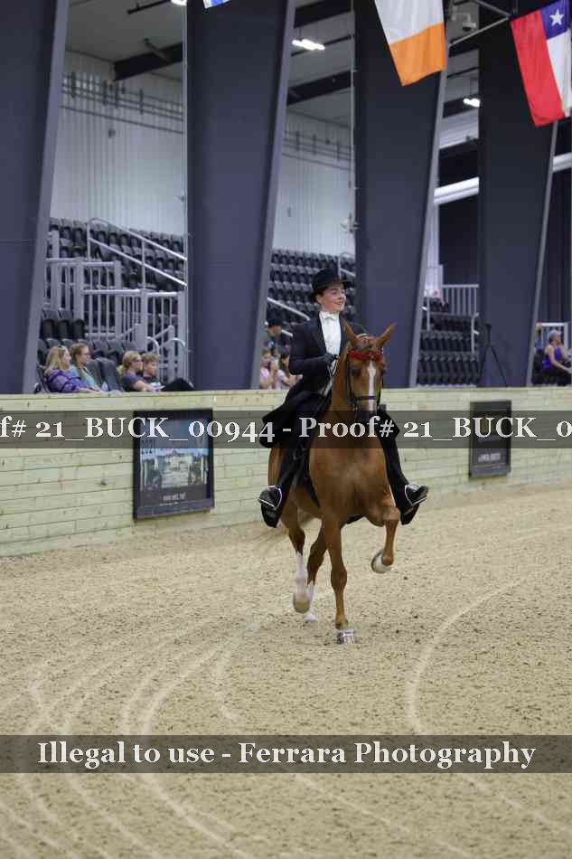 Proof 21_BUCK_00944