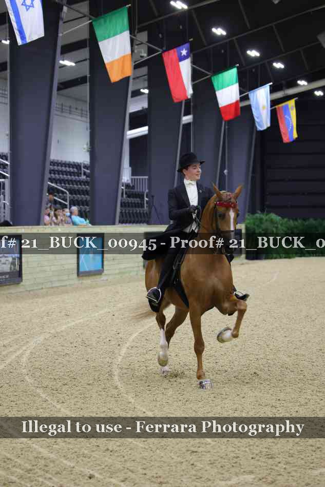 Proof 21_BUCK_00945