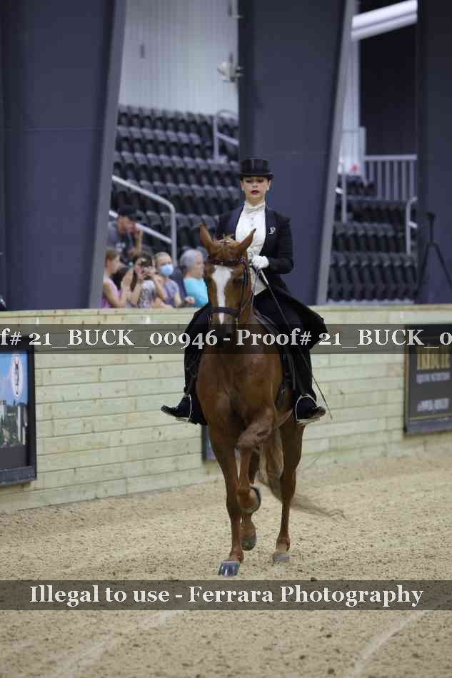Proof 21_BUCK_00946