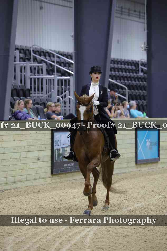 Proof 21_BUCK_00947