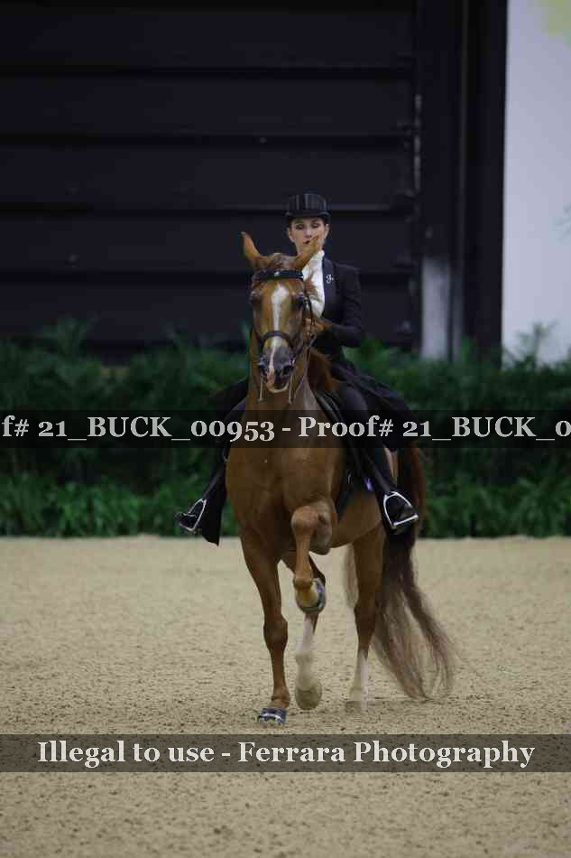 Proof 21_BUCK_00953