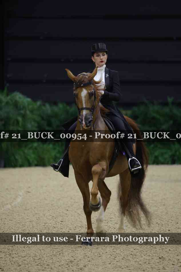 Proof 21_BUCK_00954