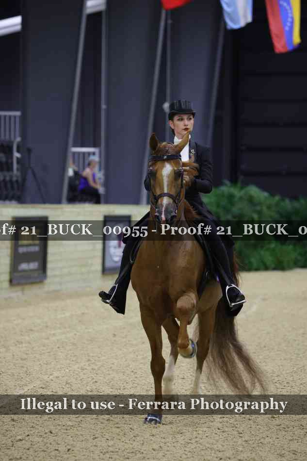 Proof 21_BUCK_00955