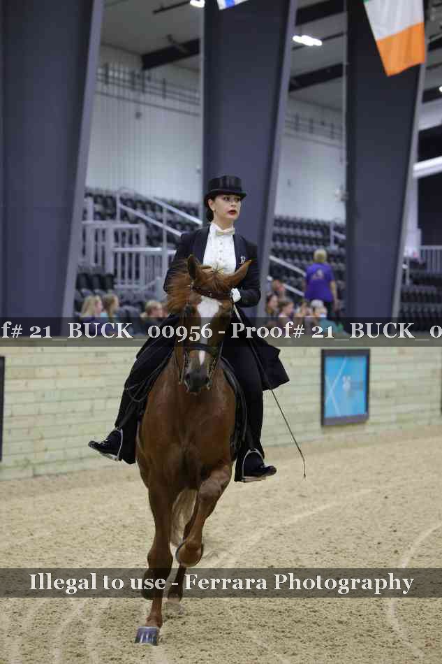 Proof 21_BUCK_00956