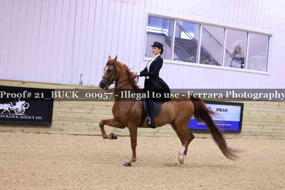 Proof 21_BUCK_00957
