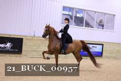 21_BUCK_00957 proof