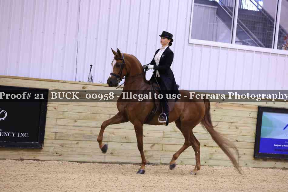 Proof 21_BUCK_00958