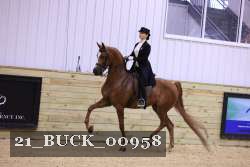 21_BUCK_00958 proof