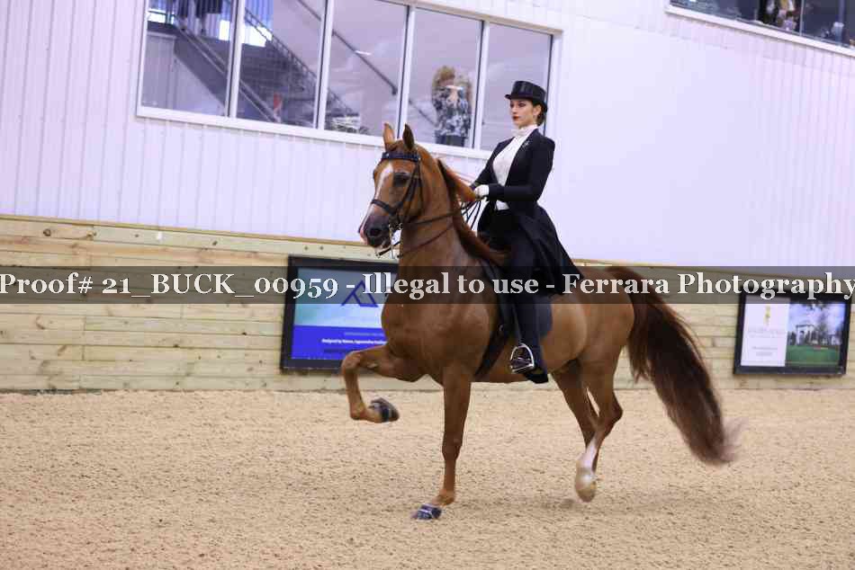Proof 21_BUCK_00959