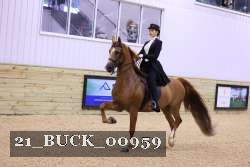 21_BUCK_00959 proof