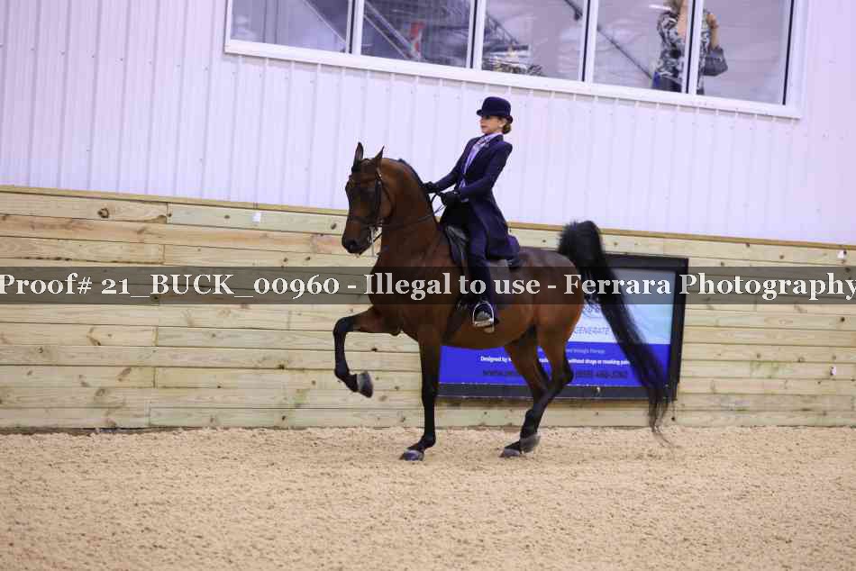 Proof 21_BUCK_00960