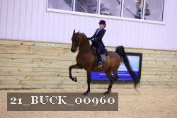 21_BUCK_00960 proof