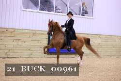 21_BUCK_00961 proof