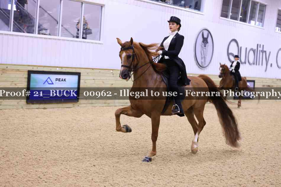Proof 21_BUCK_00962